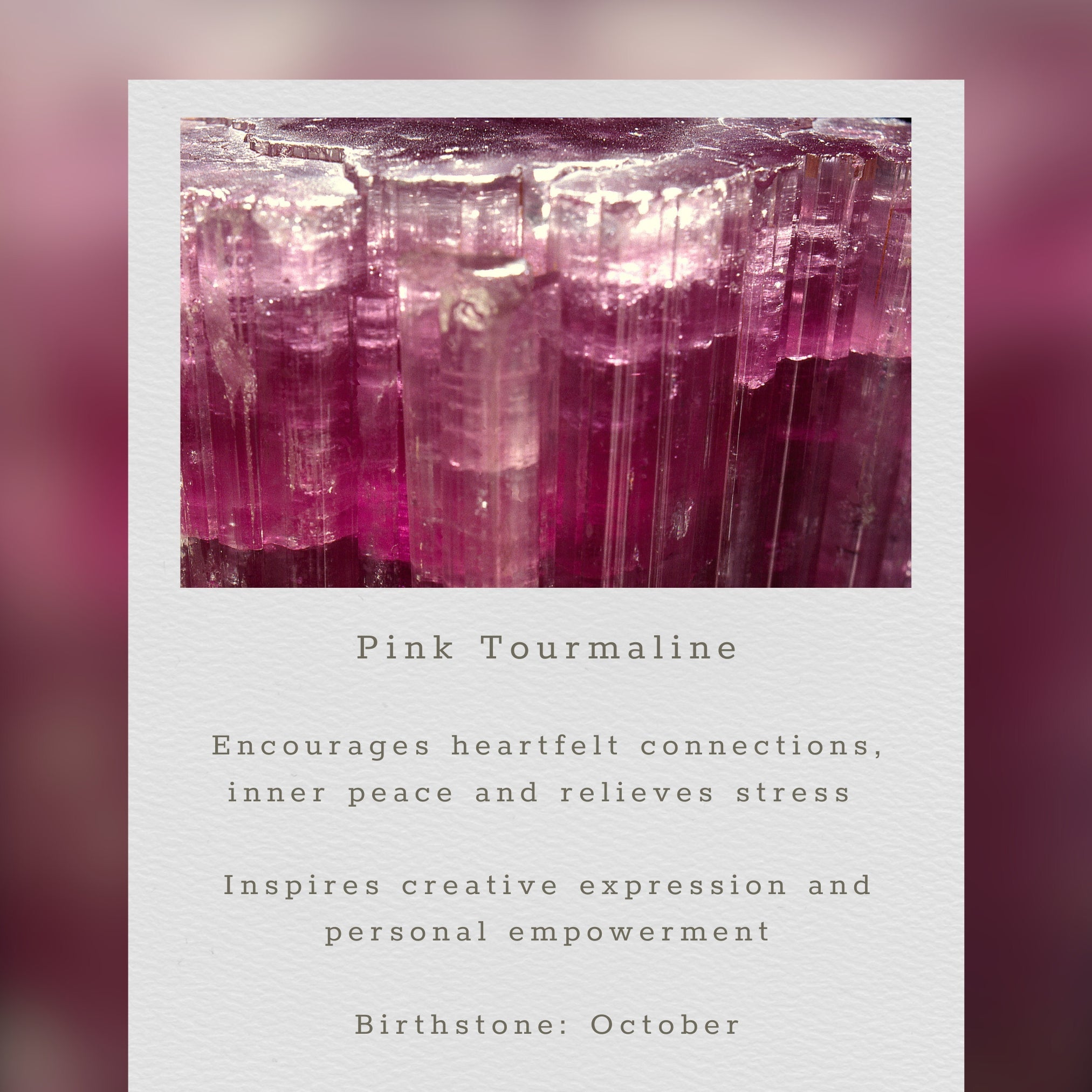 Dark Pink Tourmaline Pixy Earrings